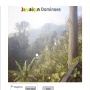 Jamaican Dominoes - přejít na detail produktu Jamaican Dominoes