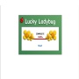 Lucky Ladybug - přejít na detail produktu Lucky Ladybug
